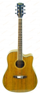 Акустическая гитара PHIL PRO W-215N