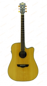 Электроакустическая гитара Dreambow  DR-800SCE