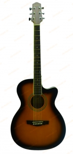 Акустическая гитара Naranda TG120CTS