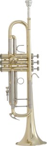 Труба "Bb" Vincent Bach Stradivarius 18037w1