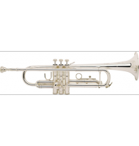 Труба "Bb" Vincent Bach TR-200S