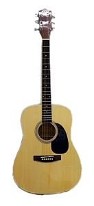 Акустическая гитара Homage LF-4100 N