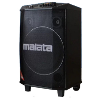 Портативная акустическая система Malata J-12 с микрофонами