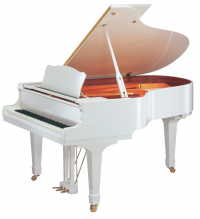 Рояль дисклавир Yamaha DC1 ENST PWH