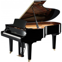 Рояль дисклавир Yamaha DC5 EN PRO PE