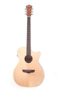 Электроакустическая гитара Dreambow  DM600SCE