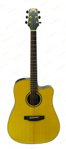 Электроакустическая гитара Dreambow  DR-801SCE
