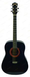 Акустическая гитара Hohner HW220TBK 