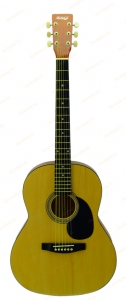 Акустическая гитара HOMAGE LF-3900N