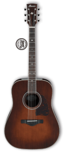 Акустическая гитара IBANEZ AVD10-BVS