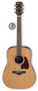 Акустическая гитара IBANEZ AVD9-NT