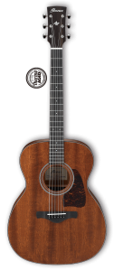 Акустическая гитара IBANEZ AVC9-OPN