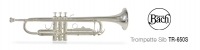 Труба "Bb" Vincent Bach TR-650S