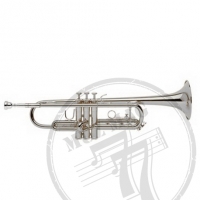 Труба "Bb" Vincent Bach TR-305SBP