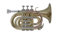 Труба-мини "Bb" Vincent Bach PT-650