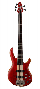 Бас-гитара Cort A5-Plus-FMMH-OPBC Artisan Series
